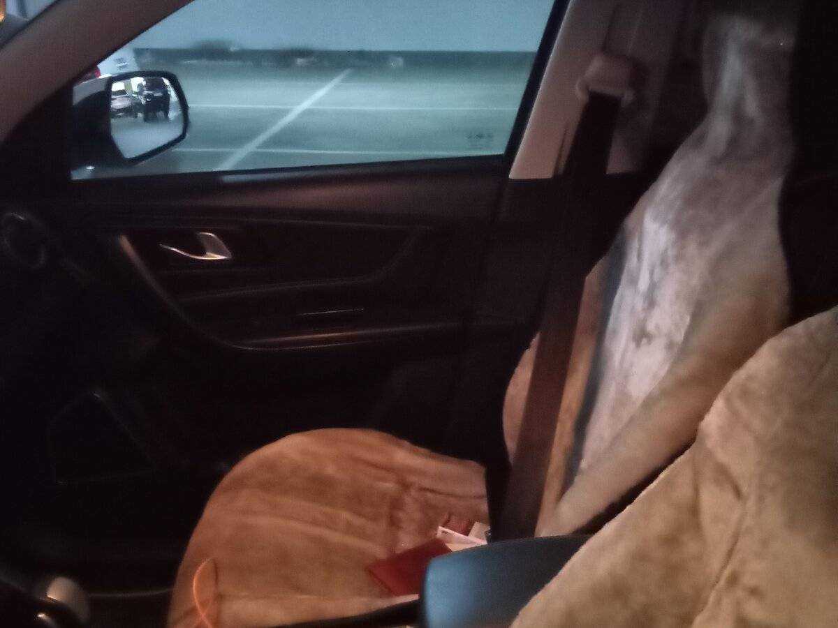 Купить ФАВ Бестюрн Икс40, 2019, 66 000 км.. Фото: #7